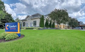 Comfort Suites Madison West - Middleton